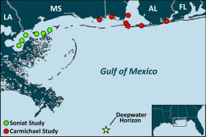 Oyster sampling sites along the Gulf coast for studies led by Dr. Thomas Soniat and by Dr. Ruth Carmichael.