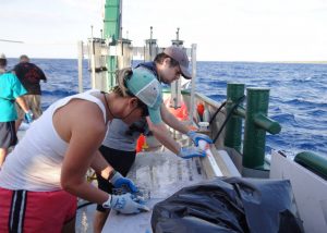 Researcher Amy Wallace (USF) works side by side with David Portnoy (Texas A&M University-Corpus Christi) to collect length and weight, and fin clips for genomic analysis of a Queen Snapper. Photo courtesy of C-IMAGE