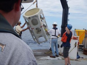 Researchers deploy sediment trap instruments in the Gulf of Mexico. Picture provided by Uta Passow.