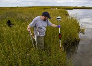 Patrick Rayle, a master’s student at Louisiana State University AgCenter, sets up a sample transect at a marsh site that has not experienced shearing. (Photo by Claudia Husseneder)