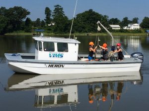 (L-R) Virginia Institute of Marine Science graduate students Jessica Turner, Cristin Wright, and Danielle Tarpley collect sediment samples using a GOMEX box corer on the York River estuary in Virginia. (Photo courtesy of Grace Massey)