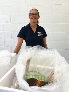 Nova Southeastern University master’s student Dawn Bickham assists with the shipment of coral colonies to the Florida Coral Disease Rescue Project. (Provided by Abigail Renegar)