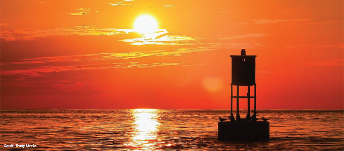 gomri-brochure-2012-headline