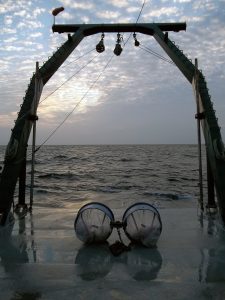 Bongo nets, used for collectiong zooplankton, ready for deployment off the aft U-frame of the R/V Weatherbird II. (Credit: Bo Yang, Ph.D. student, USF College of Marine Science)