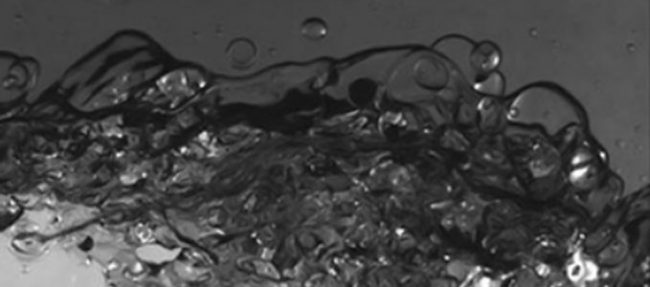 KATZ_DROPPS_bubbles-featured