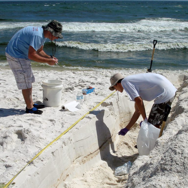 Technician Jonathan Delgardio (GT) and undergrad student Will A. Overholt (GT) collecting samples from a sampling trench on Pensacola Beach. Oil layers can be seen in the cross section of the sediment.