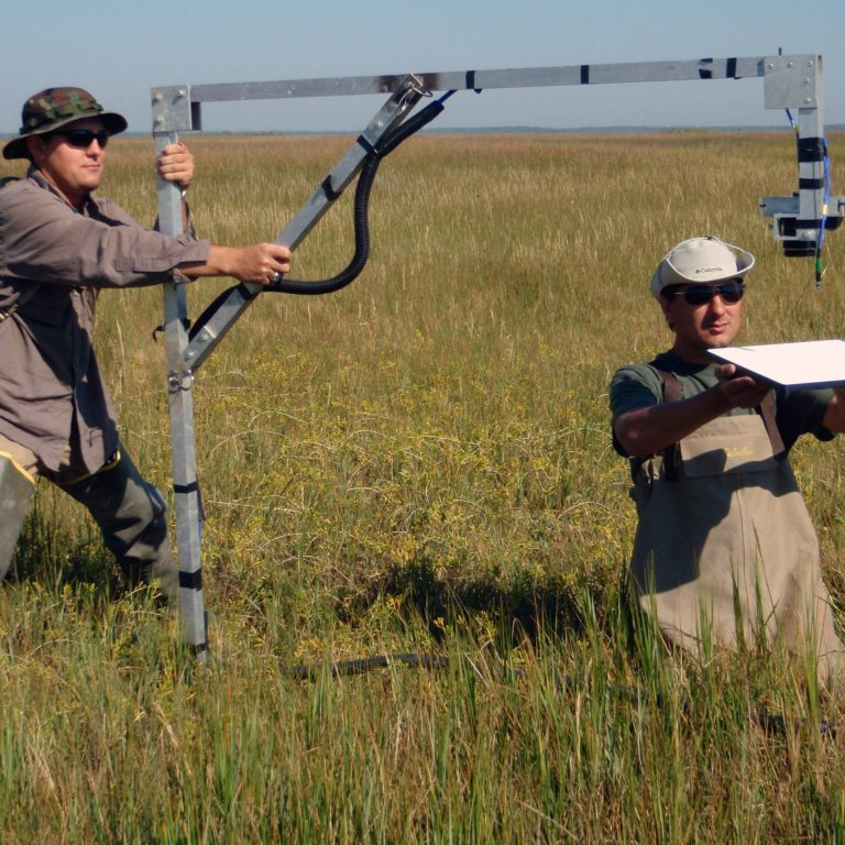 OLYMPUS DIGITAL CAMERA Graduate students Chris Downs and Paul Merani (MSU) are calibrating the remote sensor prior to collecting satellite imagery data of marsh vegetation (Credit: D. Mishra, MSU)