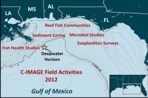 Areas of focus in the Gulf of Mexico for C-IMAGE research.
