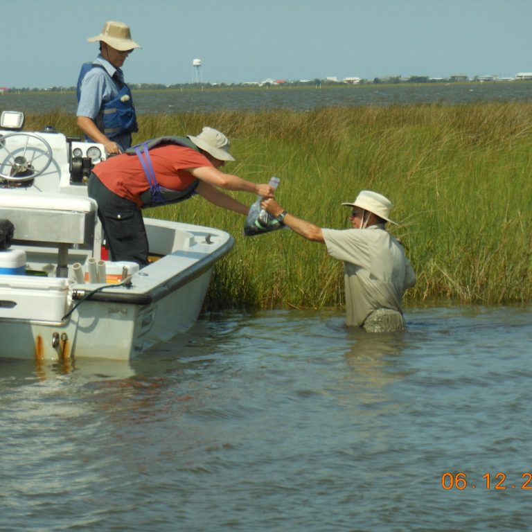 2012-06-12 09.14.18 : L-R: Tom Mickles (U. Tennessee), Annette Engels (U. Tennessee) and Erick Swenson (LSU) carefully handle samples collected along a marsh edge in Terrebonne Bay. (Photo credit: Tiffany Warner, LUMCON)