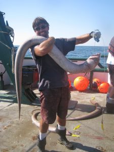 Dr. Dean Grubbs (FSU) holds a King Snake Eel (Ophicthus rex) collected for tissue samples. RV Weatherbird II (Photo credit: Dean Grubbs)