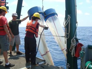 Samantha Bosman, a technician with the FSU Coastal & Marine Lab, prepares to deploy bongo nets to collect plankton. RV Weatherbird II (Photo credit: Jeff Chanton, FSU)