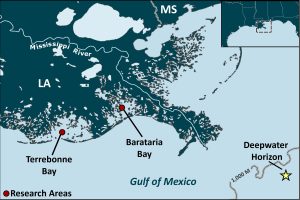 Areas of focus in the Gulf of Mexico for research.