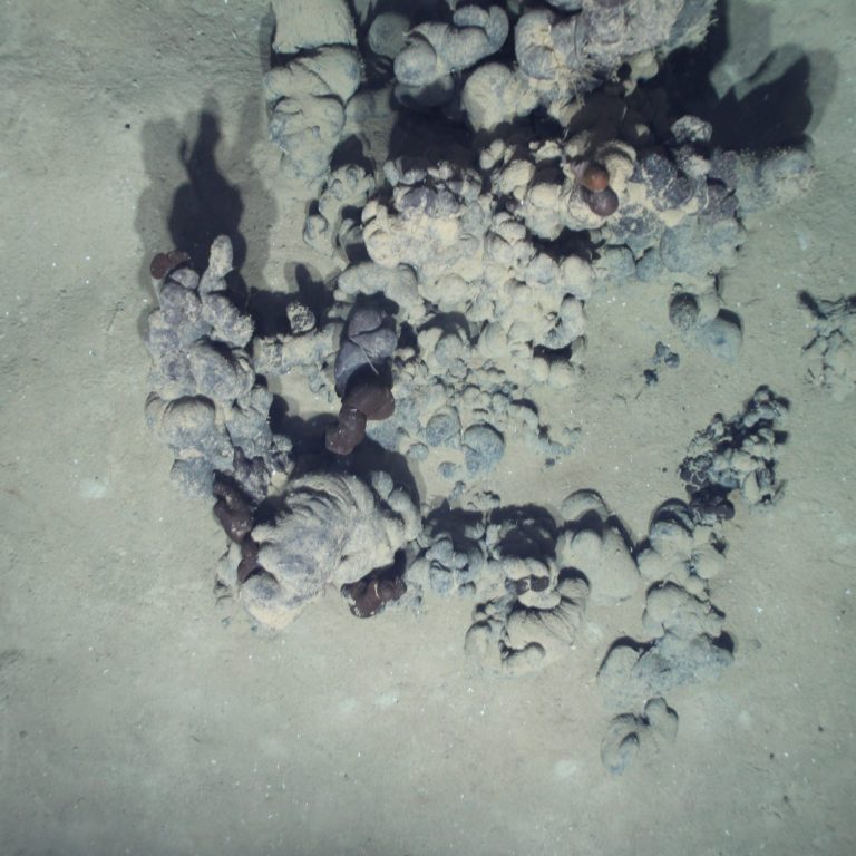 Asphalt extrustion discovered at 2,200 meters during a survey of opportunity made to ground-truth bubble plumes observed by NOAA Ocean Exploration. (Photo/Image Credit: Deep-C)