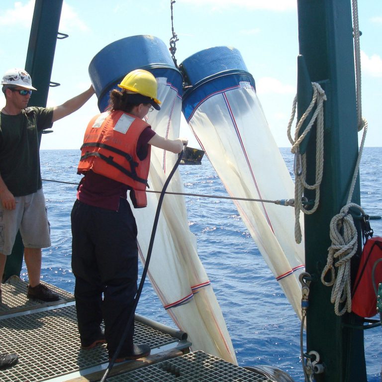 JeffChantonPhoto Samantha Bosman, a technician with the FSU Coastal & Marine Lab, prepares to deploy bongo nets to collect plankton. RV Weatherbird II (Photo credit: Jeff Chanton, FSU)