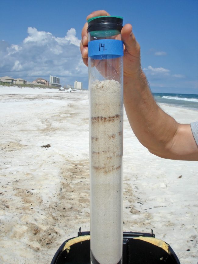 Huettel_SedimentSamplePensacolaFL Markus Huettel holds a sediment core sample from Pensacola Beach, Florida. Researchers used sands from this area for their study.