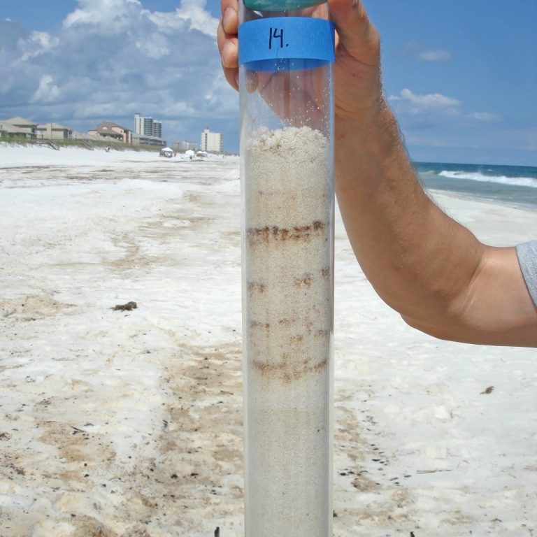 Huettel_SedimentSamplePensacolaFL Markus Huettel holds a sediment core sample from Pensacola Beach, Florida. Researchers used sands from this area for their study.