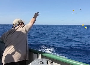 Erik Quiroz from TAMU's Geochemical and Environmental Research Group releases driftcards in the Gulf of Mexico. (Photo courtesy of Laura Caldwell with GISR)