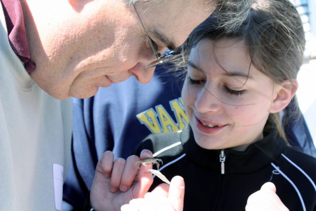 Alan and Anissa Holekamp enjoyed looking at a juvenile blue crab that was caught in the trawl aboard the R/V Acadiana during Dads and Daughters Day. (Photo by Murt Conover)