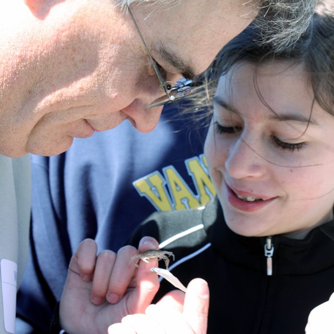 Alan and Anissa Holekamp enjoyed looking at a juvenile blue crab that was caught in the trawl aboard the R/V Acadiana during Dads and Daughters Day. (Photo by Murt Conover)