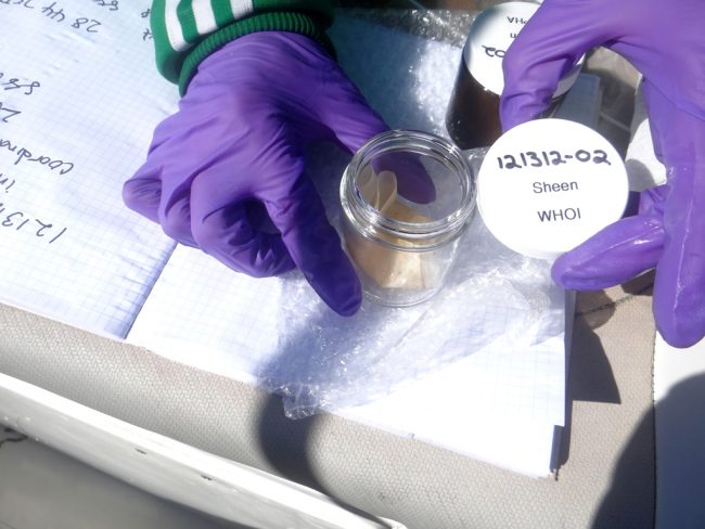 OilSheenSamples_Dec_12.51.13_WHOIsample_750_291115 After researchers retrieved oil-coated screens used to collect samples from surface sheens, each screen was sectioned into several pieces for analyses. Some were reserved for DNA extraction; others analyzed for drilling fluids and shared with the National Oceanic Atmospheric Administration for standard petrochemical analyses. (Photo by Christoph Aeppli, Woods Hole Oceanographic Institution)