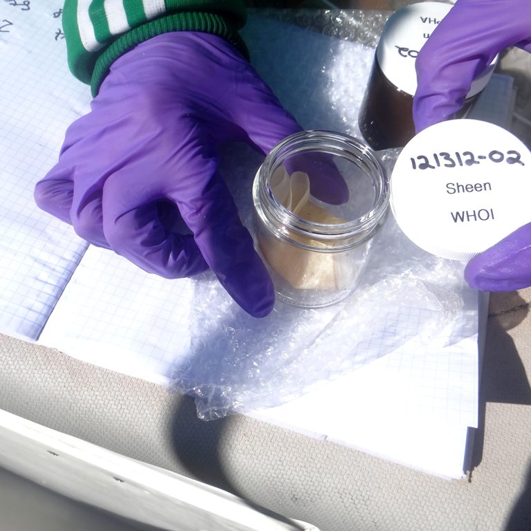 OilSheenSamples_Dec_12.51.13_WHOIsample_750_291115 After researchers retrieved oil-coated screens used to collect samples from surface sheens, each screen was sectioned into several pieces for analyses. Some were reserved for DNA extraction; others analyzed for drilling fluids and shared with the National Oceanic Atmospheric Administration for standard petrochemical analyses. (Photo by Christoph Aeppli, Woods Hole Oceanographic Institution)