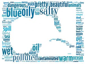 Middle school students described the Gulf of Mexico using one word. The size of the word represents the frequency of it as an answer. (Wordle image created by Amelia Vaughan)