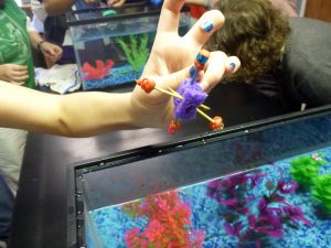 In one activity, a middle school student shows off her plankton model before putting in water to test for neutral buoyancy. (Photo credit: Amelia Vaughan)
