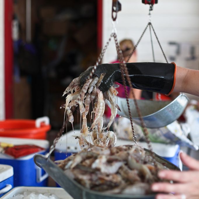 Louisiana Shrimp being weighed before sold. (Photo: Kerry Maloney/Louisiana Seafood News www.Louisianaseafoodnews.com )