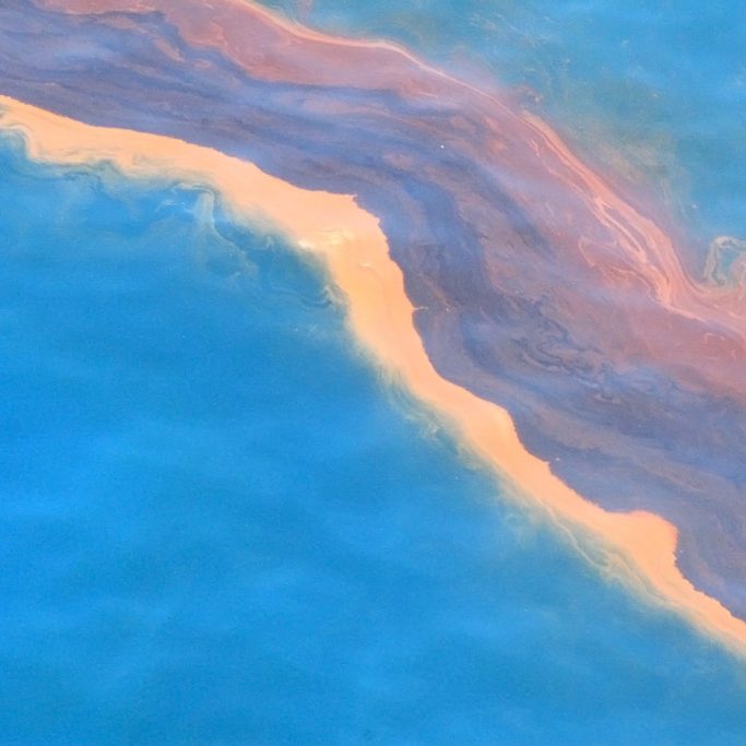 oilspillphoto-web Heavy band of oil seen during an overflight in the Gulf of Mexico on May 12,2010. (Credit: NOAA)