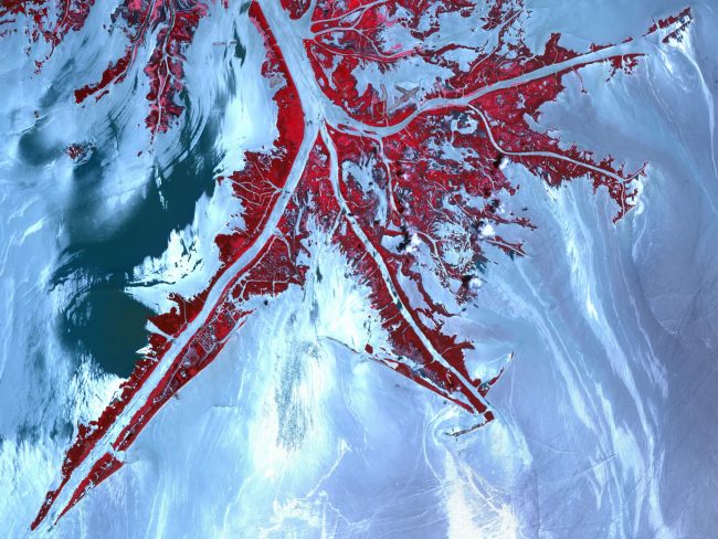 MSriver_131023125610-large Oil from the Deepwater Horizon spill laps around the mouth of the Mississippi River delta in this May 24, 2010, image from the Advanced Spaceborne Thermal Emission and Reflection Radiometer (ASTER) instrument on NASA's Terra spacecraft. The oil appears silver, while vegetation is red. (Image credit: Jesse Allen/NASA/GSFC/METI/ERSDAC/JAROS, and U.S./Japan ASTER Science Team)