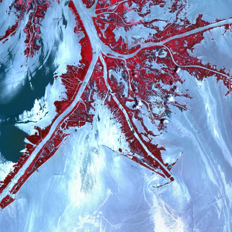 MSriver_131023125610-large Oil from the Deepwater Horizon spill laps around the mouth of the Mississippi River delta in this May 24, 2010, image from the Advanced Spaceborne Thermal Emission and Reflection Radiometer (ASTER) instrument on NASA's Terra spacecraft. The oil appears silver, while vegetation is red. (Image credit: Jesse Allen/NASA/GSFC/METI/ERSDAC/JAROS, and U.S./Japan ASTER Science Team)