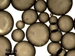 Image shows Octane-in-water emulsions stabilized by carbon black particles. (Photo provided by Arijit Bose)