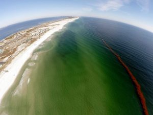 This aerial photo, taken from the camera-equipped drone, shows a mile-long dye strip just after being injected outside the surf zone along Ft. Walton Beach, GL. Patrick Rynne, a Ph.D. student at UM, and Fiona Graham, a fellow graduate student in Marine Affairs and Policy, developed and operated the drone. (Photo provided by CARTHE)