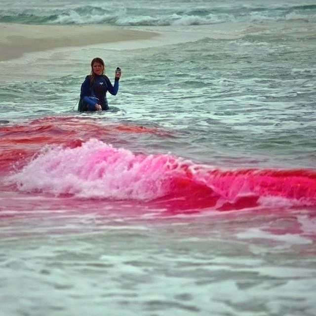 CARTHE_SCOPE_DyeInjection Kate Woodall, Naval Postgraduate School, injects EPA-approved in the surf zone in Ft. Walton Beach, FL. (Photo provided by CARTHE)