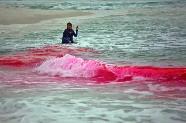 Kate Woodall, Naval Postgraduate School, injects EPA-approved in the surf zone in Ft. Walton Beach, FL. (Photo provided by CARTHE)