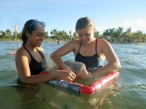Students from MAST Academy make minor adjustments to their ocean drifter before deploying it in the waters of Biscayne Bay. (Photo provided by CARTHE)