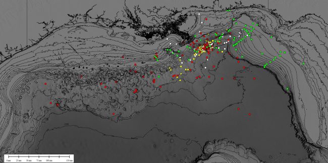 The above dots represent locations in the Gulf of Mexico where scientists have been collecting sediment samples to map the distribution of hydrocarbons on the seafloor. The ECOGIG sampling sites are in red, Deep-C sampling sites are in white, C-IMAGE sampling sites are in green, and National Research Damage Assessment (NRDA) collection sites are in yellow. (Image developed by Samantha Joye, Arne Diercks, Jeff Chanton, and David Hollander)