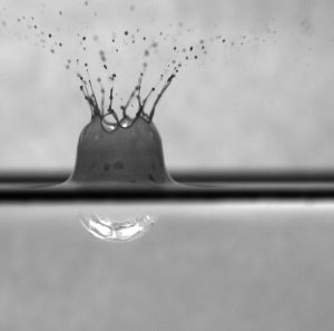 Researchers with the DROPPS consortium are conducting experiments using high-speed imagery that capture the effects of dispersants on interfacial phenomena as shown in this image of a rain drop as it falls into a surface oil slick treated with chemical dispersant. (Image provided by Director of DROPPS Edward Buskey, University of Texas Marine Science Institute and credit to David Murphy, Johns Hopkins University)