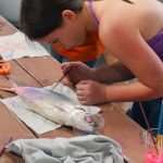 Students in Adaptation Art use fish from the Gulf of Mexico to discover why the different characteristics of fish determine where they will live. (Photo credit: Colleen McCue)