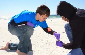 West Florida High School students place their sand patty in a sterilized jar after carefully recording its location and other information about the sample. (Photo credit: Danielle Groenen, FSU)