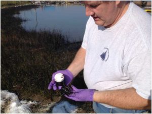 Bob Nelson with the Deep-C team collects sticky, tar-like oil from an impacted marsh. The spill created a “bathtub ring” of oil in affected areas. (Photo credit: Bob Swarthout)