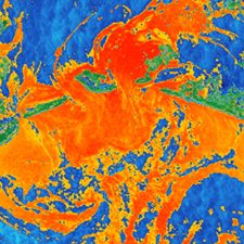 RFP-II_Graber_SARImage-featured