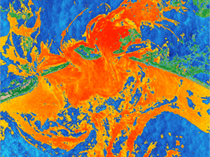RFP-II_Graber_SARImage-featured
