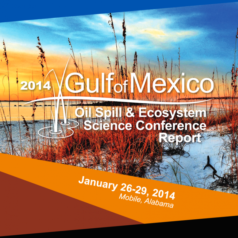 2014gulfconferencereport-screen-cap