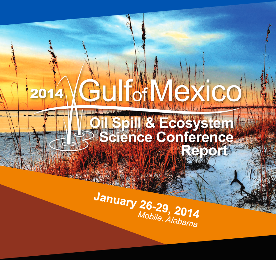 2014gulfconferencereport-screen-cap