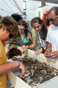 Hands-on science, such as collecting samples of marine life in the marsh, helped students gain a deeper understanding about the science that they later used in their artistic depictions. Here students were on board the RV Acadiana. Photo by Murt Conover