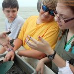 Students got an up-close view of marsh marine life that live in sediments. Being able to see, touch, and hear about these animals helped them to communicate more clearly about them through their artwork. Photo by Murt Conover.