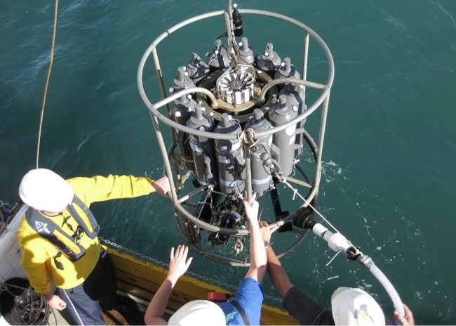 RFPII_Cai_CTDdeployment The research team steadies the CTD as it submerges into the Gulf of Mexico to collect water samples. (Photo provided by Wei-Jen Huang, UGA)