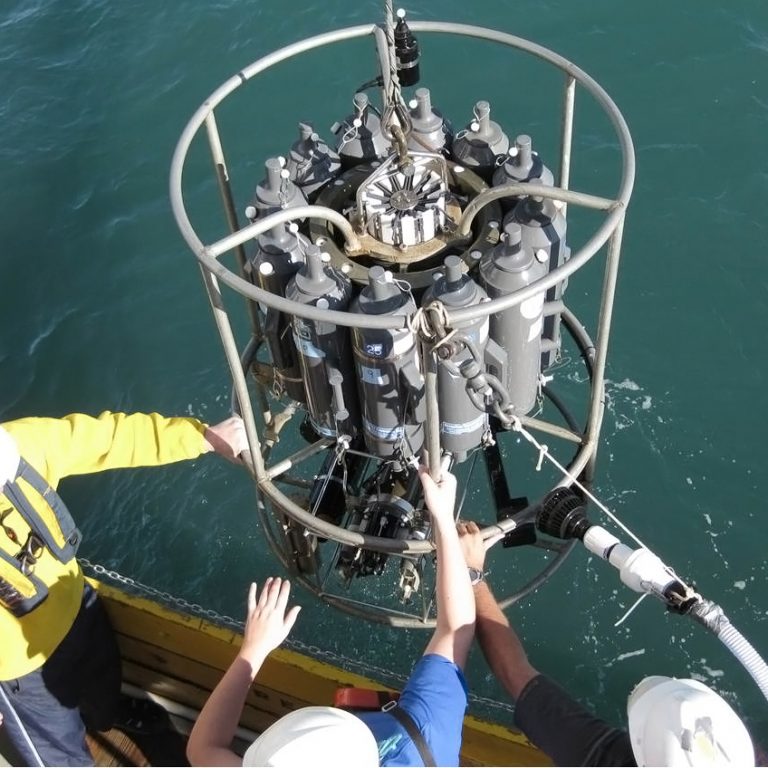 RFPII_Cai_CTDdeployment The research team steadies the CTD as it submerges into the Gulf of Mexico to collect water samples. (Photo provided by Wei-Jen Huang, UGA)