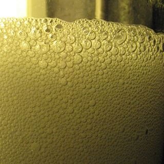 bubbles Bubbles simulated in the column reactor. (Image provided by K.T. Valsaraj)